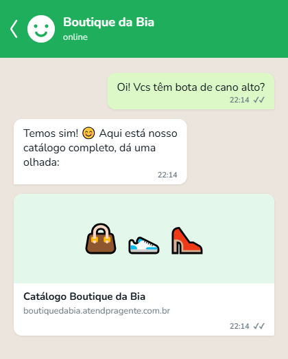 Bot enviando o catálogo de produtos dentro da conversa